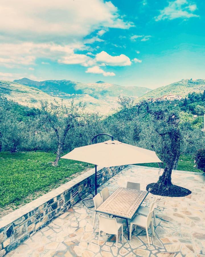Casa Vacanze Gli Ulivi Borgomaro Kültér fotó